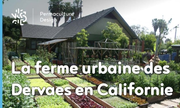 La ferme urbaine de la famille Dervaes à Pasadena, Californie