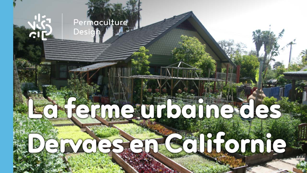 La ferme urbaine de la famille Dervaes à Pasadena, Californie