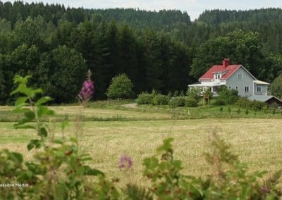 Le film sur Ridgedale Permaculture en Suède nous plonge dans le quotidien de celles et ceux qui font de cette ferme un lieu innovant et régénérateur.