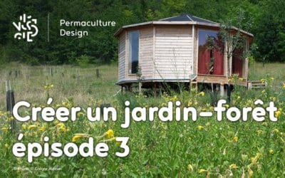 Créer collectivement un jardin-forêt en permaculture, épisode 3 : écouter et accompagner la forêt qui pousse.