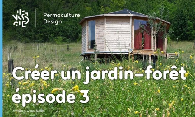 Créer collectivement un jardin-forêt en permaculture, épisode 3 : écouter et accompagner la forêt qui pousse.