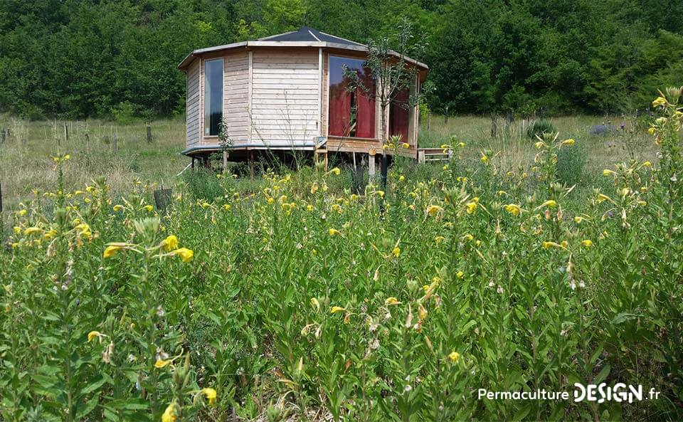 Suivi de la création d’un jardin-forêt comestible en permaculture au sein de la communauté du projet TERA.