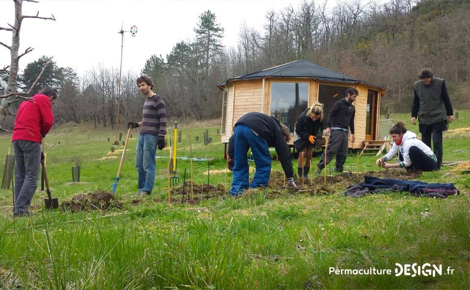 Suivi de la création d’un jardin-forêt comestible en permaculture au sein de la communauté du projet TERA.