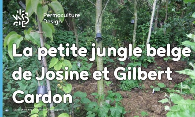 Le jardin-forêt en permaculture des fraternités ouvrières de Mouscron en Belgique.