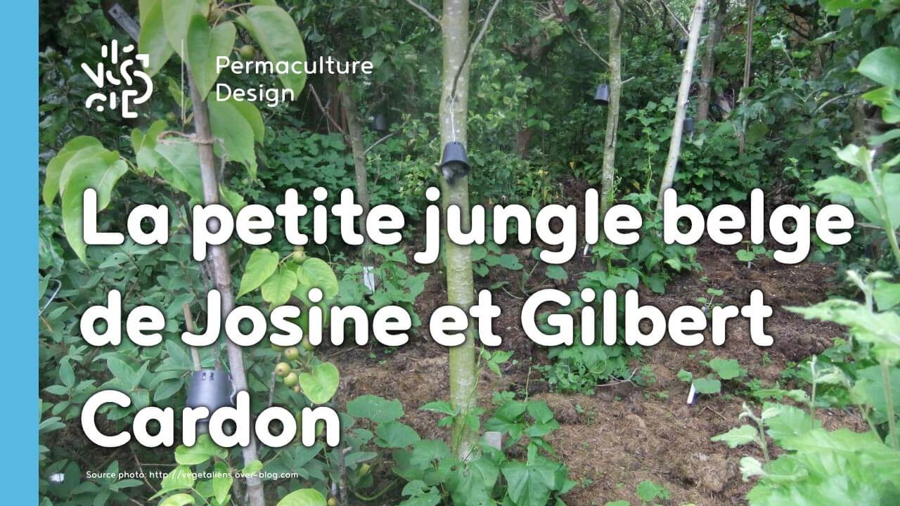 Le jardin-forêt en permaculture des fraternités ouvrières de Mouscron en Belgique.