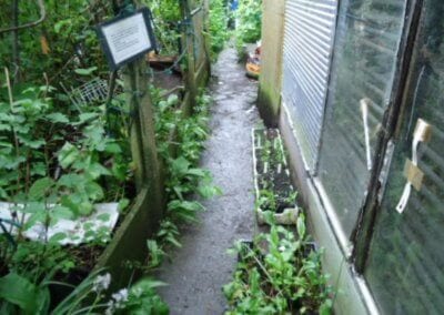 Le jardin-forêt en permaculture des fraternités ouvrières de Mouscron en Belgique produit des fruits et légumes en abondance toute l’année.