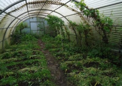 Le jardin-forêt en permaculture des fraternités ouvrières de Mouscron en Belgique produit des fruits et légumes en abondance toute l’année.