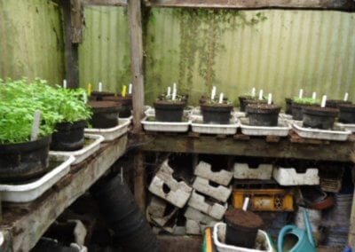 Le jardin-forêt en permaculture des fraternités ouvrières de Mouscron en Belgique produit des fruits et légumes en abondance toute l’année.