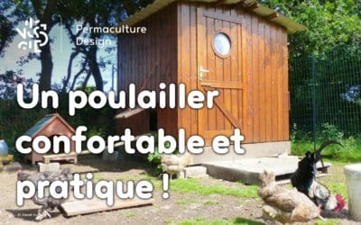 Conseils pour créer un poulailler pratique pour les poules et les éleveurs !