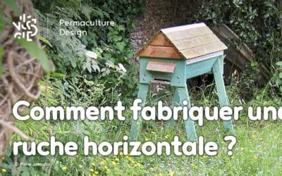 Comment fabriquer une ruche horizontale avec des matériaux de bricolage simples ?