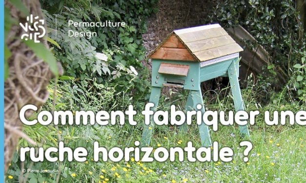 Comment fabriquer une ruche horizontale avec des matériaux de bricolage simples ?