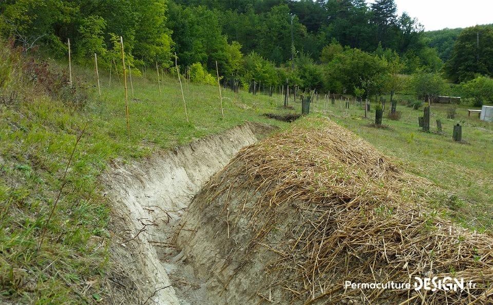 Suivi de la création d’un jardin-forêt comestible en permaculture au sein de la communauté du projet TERA.