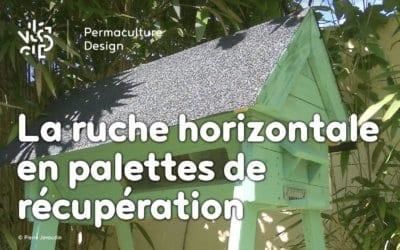 Comment fabriquer une ruche horizontale à partir de palettes et matériaux de récupération ?