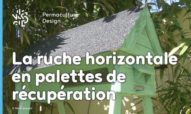 Comment fabriquer une ruche horizontale à partir de palettes et matériaux de récupération ?