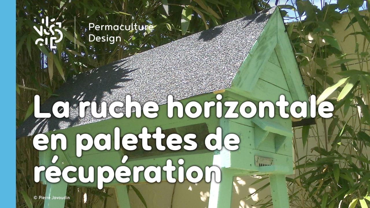 Comment fabriquer une ruche horizontale à partir de palettes et matériaux de récupération ?