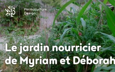 Un parking transformé en jardin nourricier : le design en permaculture de Myriam et Déborah