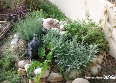 Grâce à la formation « Invitez la permaculture dans votre jardin », Myriam et Déborah ont transformé un parking en jardin potager résilient.