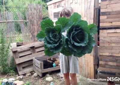 Grâce à la formation « Invitez la permaculture dans votre jardin », Myriam et Déborah ont transformé un parking en jardin potager résilient.