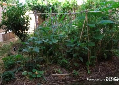 Grâce à la formation « Invitez la permaculture dans votre jardin », Myriam et Déborah ont transformé un parking en jardin potager résilient.