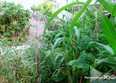 Grâce à la formation « Invitez la permaculture dans votre jardin », Myriam et Déborah ont transformé un parking en jardin potager résilient.