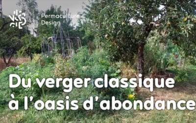 D’un verger classique à une oasis d’abondance : le design en permaculture de Julie et Ludovic.