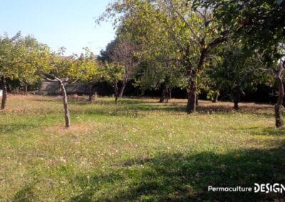 Julie et Ludovic ont réussi à transformer un verger classique en jardin d’abondance grâce au design de permaculture.