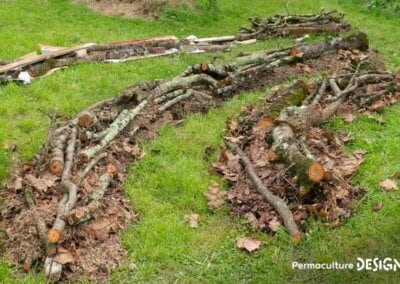 Julie et Ludovic ont réussi à transformer un verger classique en jardin d’abondance grâce au design de permaculture.