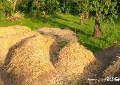 Julie et Ludovic ont réussi à transformer un verger classique en jardin d’abondance grâce au design de permaculture.