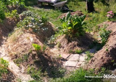 Julie et Ludovic ont réussi à transformer un verger classique en jardin d’abondance grâce au design de permaculture.