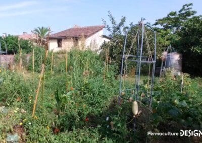 Julie et Ludovic ont réussi à transformer un verger classique en jardin d’abondance grâce au design de permaculture.