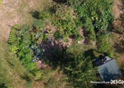 Julie et Ludovic ont réussi à transformer un verger classique en jardin d’abondance grâce au design de permaculture.