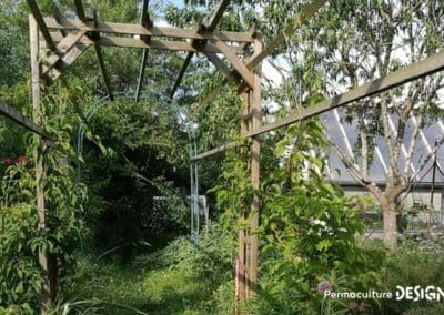 Julie et Ludovic ont réussi à transformer un verger classique en jardin d’abondance grâce au design de permaculture.