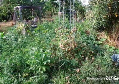 Julie et Ludovic ont réussi à transformer un verger classique en jardin d’abondance grâce au design de permaculture.