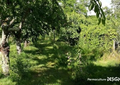 Julie et Ludovic ont réussi à transformer un verger classique en jardin d’abondance grâce au design de permaculture.