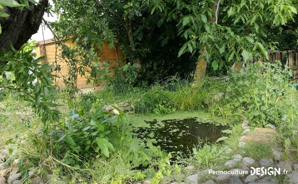 Julie et Ludovic ont réussi à transformer un verger classique en jardin d’abondance grâce au design de permaculture.