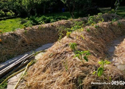 Julie et Ludovic ont réussi à transformer un verger classique en jardin d’abondance grâce au design de permaculture.