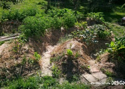 Julie et Ludovic ont réussi à transformer un verger classique en jardin d’abondance grâce au design de permaculture.