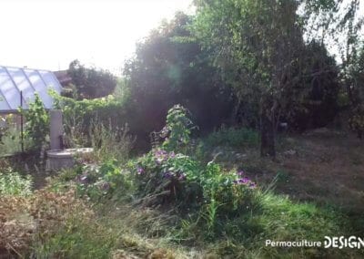 Julie et Ludovic ont réussi à transformer un verger classique en jardin d’abondance grâce au design de permaculture.