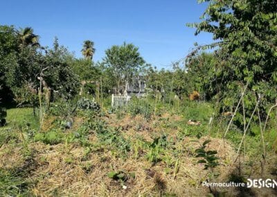 Julie et Ludovic ont réussi à transformer un verger classique en jardin d’abondance grâce au design de permaculture.