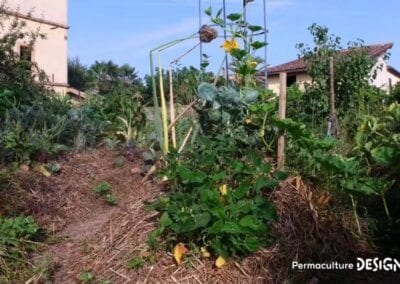 Julie et Ludovic ont réussi à transformer un verger classique en jardin d’abondance grâce au design de permaculture.