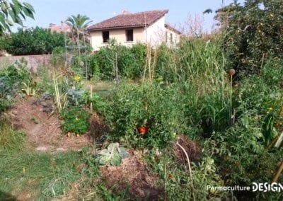 Julie et Ludovic ont réussi à transformer un verger classique en jardin d’abondance grâce au design de permaculture.