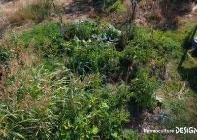 Julie et Ludovic ont réussi à transformer un verger classique en jardin d’abondance grâce au design de permaculture.