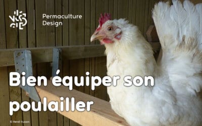 ​​Quels équipements choisir pour un poulailler confortable et pratique ?