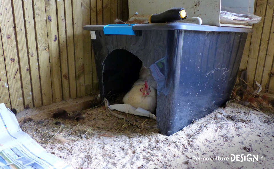 ​​Hervé Husson nous conseille sur les meilleurs équipements pour un poulailler confortable et pratique pour les poules comme pour les éleveurs.