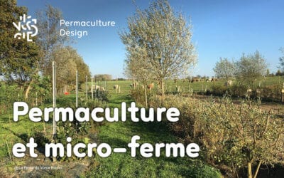 ​​Comment transformer sa micro-ferme grâce à la permaculture ?