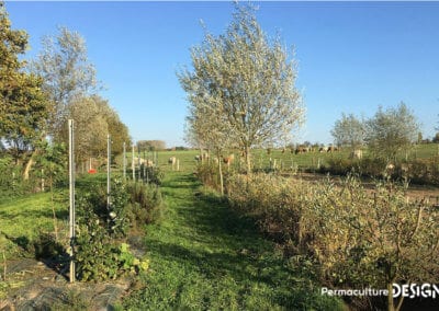 ​​Lauriane et Charles Durant, gérants de la Ferme du Vieux Poirier en Alsace depuis 2012, nous expliquent comment et pourquoi ils ont transformé leur micro-ferme grâce à la permaculture.