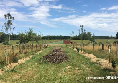 ​​Lauriane et Charles Durant, gérants de la Ferme du Vieux Poirier en Alsace depuis 2012, nous expliquent comment et pourquoi ils ont transformé leur micro-ferme grâce à la permaculture.