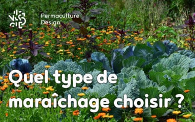 ​​Maraîchers conventionnels, bio ou en permaculture, quelles différences ?