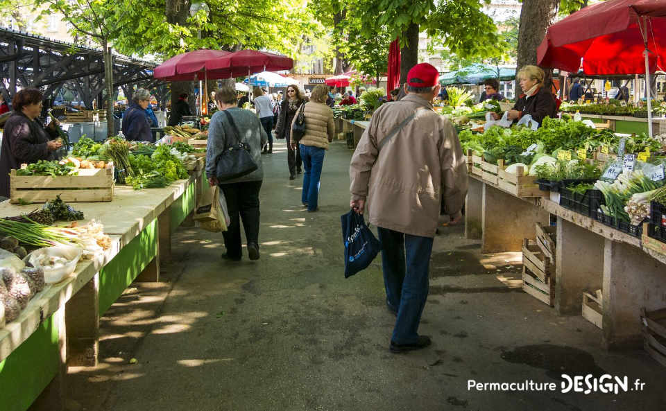 ​​Quel type de maraîcher devenir quand on se lance dans cette activité agricole : en conventionnel, en bio ou en permaculture ?