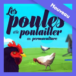 Suivre un stage ou une formation de permaculture en vidéo.